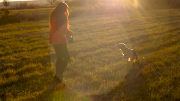 Chica feliz, jugando a correr con el perro con correa, en el parque, al atardecer . — Vídeo de stock