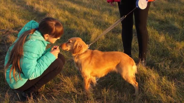 Adolescente menina acaricia cão em lã no prado de outono, família caminha animal de estimação no parque . — Vídeo de Stock