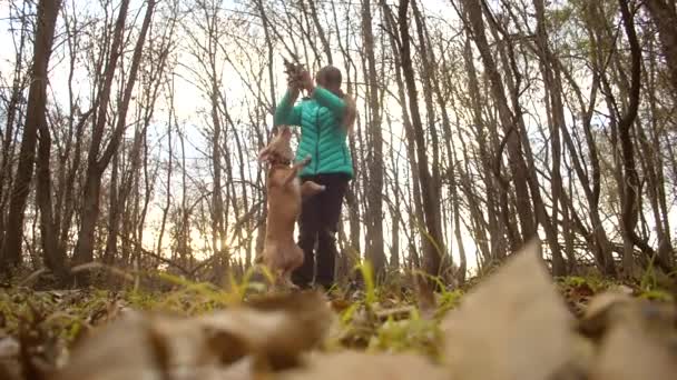 Ragazza adolescente con il suo cane vomitare foglie autunnali. Rallentatore . — Video Stock