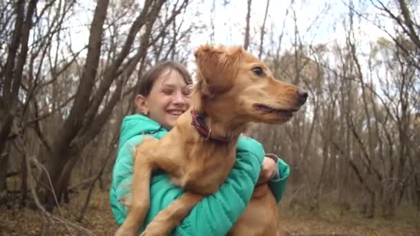 Dog sits on owners hands and kisses it. — Stock Video