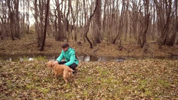 Tenage girl is petting dog in autumn forest. Slow motion, — Stock Video