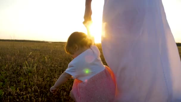 小さな女の子は、夕日の光線で母親手を握っては、ママと娘は、明るい日光の下で秋の公園で歩いています。. — ストック動画