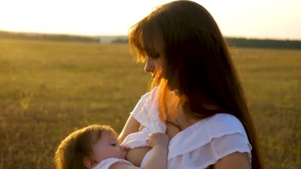 Le bébé suce le lait de sa mère au coucher du soleil du soir — Video