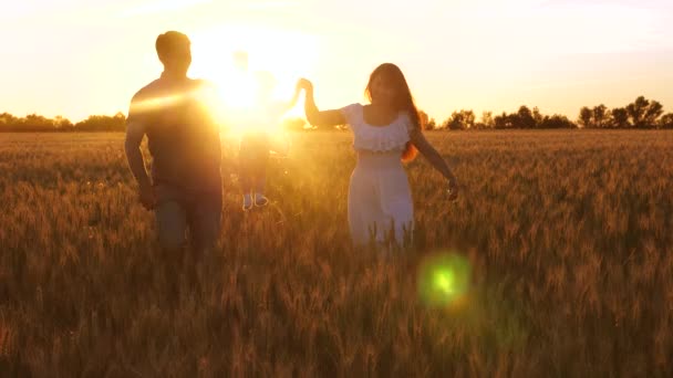 Kind met pappa en mamma wandelen in veld met tarwe in stralen van gouden zonsondergang en lachen. — Stockvideo