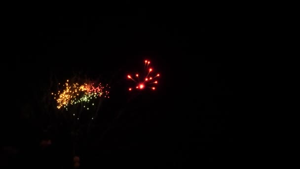 Feux d'artifice colorés pendant les vacances — Video