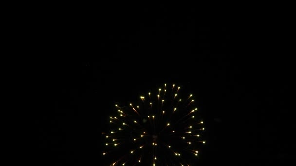 Fuochi d'artificio colorati in vacanza. Rallentatore — Video Stock