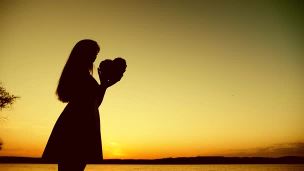 Silhouet van meisje houdt hart aan prachtige zonsondergang tegen de zee. Mooi meisje hart houden in de zonsondergang. — Stockvideo