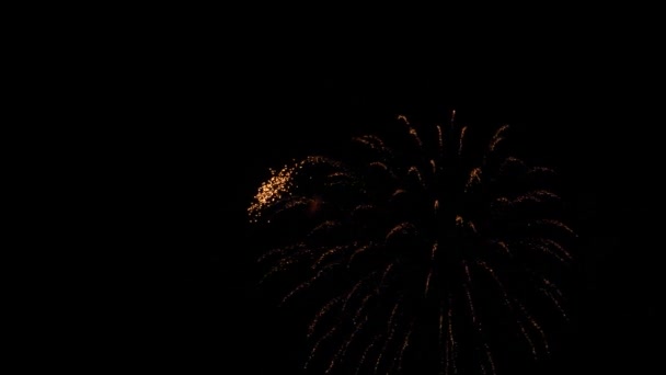 Fogos de artifício coloridos no feriado. Movimento lento — Vídeo de Stock