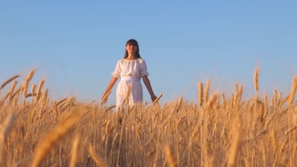 Chica en vestido blanco está caminando y sonriendo en un campo de trigo dorado, las niñas manos tocando espigas de trigo maduro, cámara lenta — Vídeos de Stock