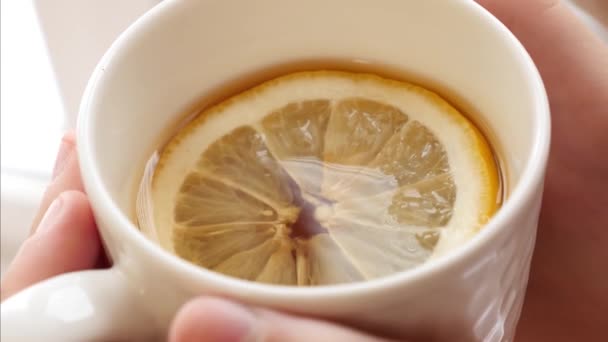 En las palmas de las muchachas las manos el cristal con el té perfumado y el trozo del limón, el desayuno matutino de vitaminas. de cerca — Vídeo de stock