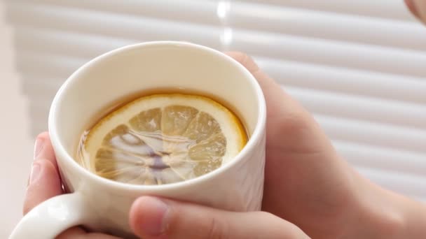 In den Handflächen des Mädchens Glas Tee mit einer Scheibe Zitrone. Vitamintee im Herbst. Vorbeugung gegen Erkältungen. — Stockvideo