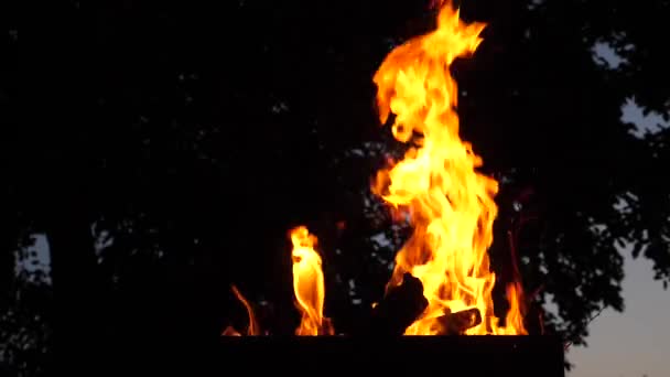 O fogo no churrasco queima à noite. Movimento lento — Vídeo de Stock