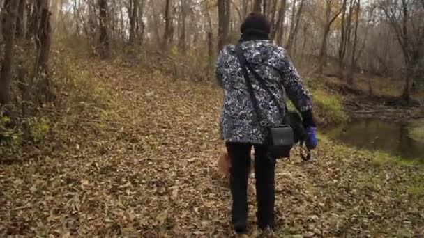 Donna gioca con il cane nella foresta autunnale vicino al ruscello, salti allegri cane — Video Stock