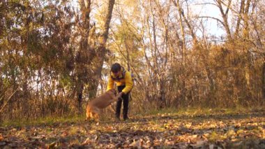 Başındaki kız okşayarak köpek parkında dinleniyor