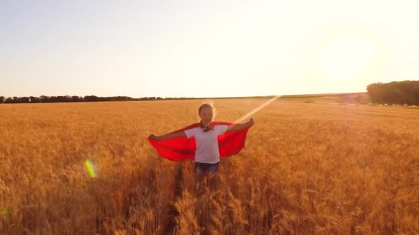 Superhéroe chica joven en impermeable rojo jugando en el campo de trigo maduro, chica corre contra la puesta de sol — Vídeo de stock