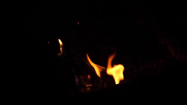 Красный огонь вспыхивает на бревнах в гриле ночью, крупным планом — стоковое видео