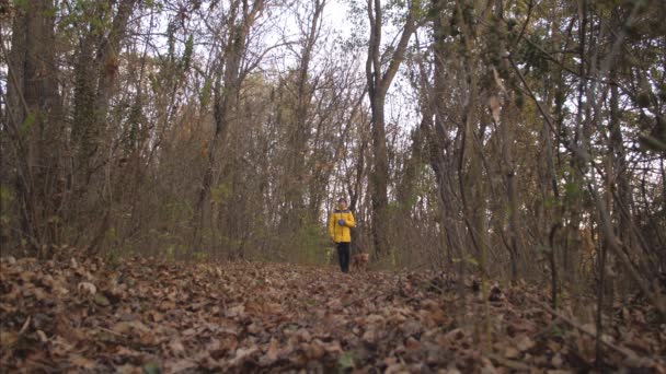 茶色の紅葉で覆われている道を秋の公園で犬と少女散歩. — ストック動画
