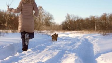 Çocuklar parkta karlı yol köpek sonra çalıştırın. Kızlar, kışın köpek oynamak. Ağır çekim.