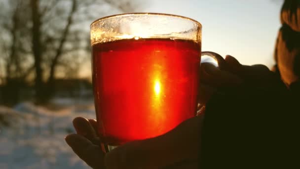 Niña sosteniendo taza de vidrio con té caliente en el invierno en el parque bajo el sol. café medicinal del frío en el bosque nevado . — Vídeo de stock