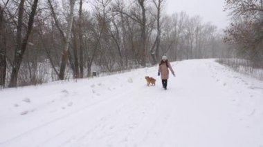 Mutlu kız ile onun en sevdiğim köpek çalıştırmak ve kar fırtınasında gülüyor. Ağır çekim.