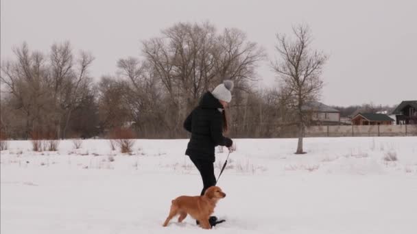 Chica jugando con el perro en el parque de invierno en la mañana de Navidad. perro y chica correr en la nieve . — Vídeos de Stock