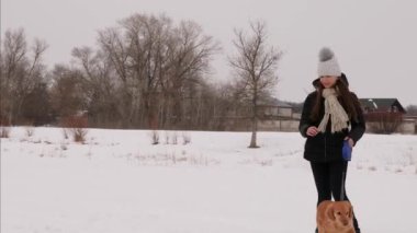 Noel sabahı köpek kış parkta oynarken kız. köpek ve kız karda koşmak.