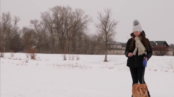 Chica jugando con el perro en el parque de invierno en la mañana de Navidad. perro y niña corren en la nieve . — Vídeo de stock