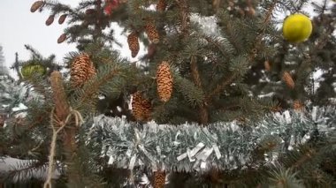 Bir süslü oyuncak ve iğne yapraklı ağaç üzerinde asılı ve rüzgarda sallandı tinsel Noel ladin olduğunu.