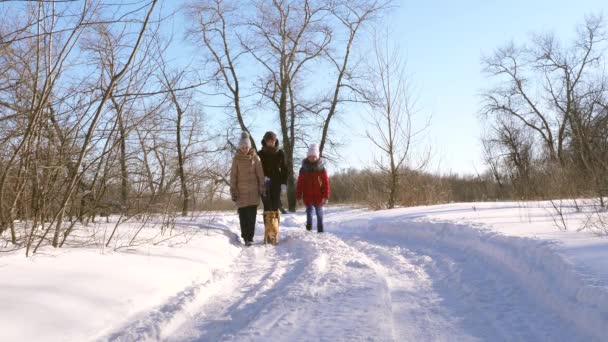 Mãe com suas filhas e cão estão andando no parque de inverno durante as férias de Natal. família caminha com cão amado ao longo da estrada nevada na floresta de inverno — Vídeo de Stock