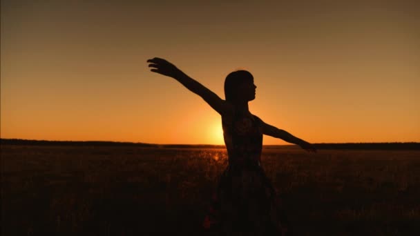 Chica feliz con el pelo largo baila bajo los rayos de la puesta del sol de oro. silueta de la niña está girando en hermosos rayos del sol. Movimiento lento — Vídeo de stock
