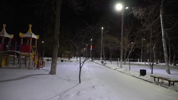 Zimní Alej Pouliční Lampy Parku Noční Pokryté Sněhem Sníh Létá — Stock video