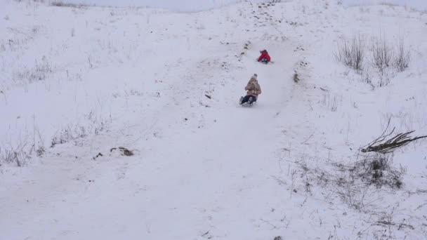 Meisje rollen in de winter in de sneeuw van heuvel crashes in hummock en valt in de sneeuw. — Stockvideo