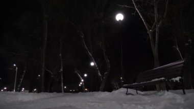 sokak sokak lambaları gece parkta karla kaplı. Kar bir fener ışığında uçar.