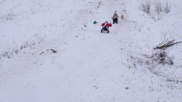 Kinder fahren in den Weihnachtsferien im Winterpark mit dem Schlitten bergab. — Stockvideo
