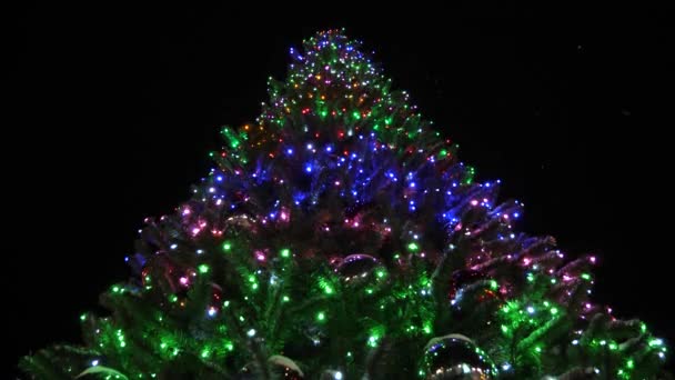 Abeto de Navidad brillante alta decorado con guirnaldas y bolas multicolores contra el cielo nocturno. poca nieve cae — Vídeos de Stock