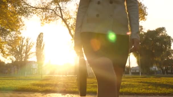 Belas pernas de mulher de negócios andando pela calçada. mulher de negócios em passeios de saia no parque em raios do belo pôr do sol com uma pasta preta de documentos. close-up — Vídeo de Stock