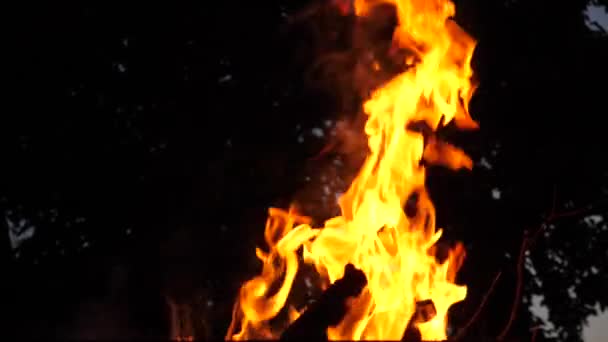Oheň hořet v noci. Detail. Zpomalený pohyb. — Stock video