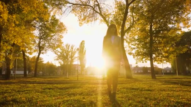 Mujer de negocios con maletín de documentos pasa por el parque en los momentos dorados de la puesta del sol — Vídeo de stock