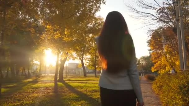 Ділова жінка з портфелем документів проходить через парк в золотих тонах заходу сонця — стокове відео