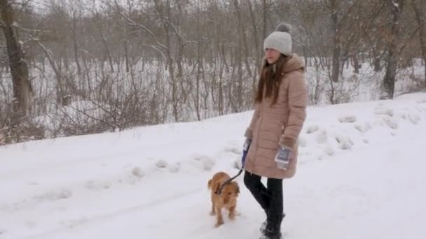 Дівчина і собака ходять по засніженій дорозі, взимку, в снігопаді, і посміхаючись . — стокове відео