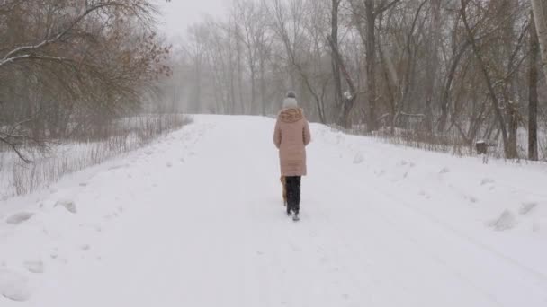 Дівчина гуляє з собакою в снігопаді в зимовому парку . — стокове відео