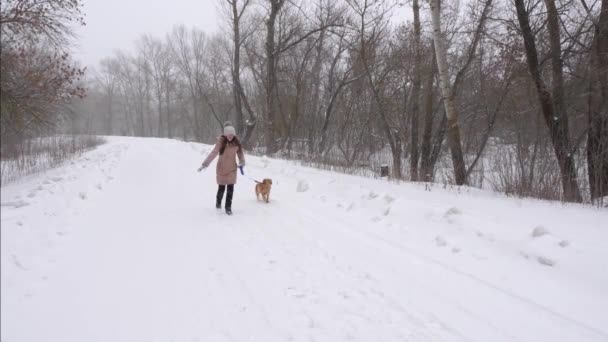 Счастливая девушка играет с собакой зимой в парке в метель. Рождественские каникулы с домашним животным. Медленное движение . — стоковое видео