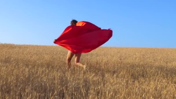 Niña en impermeable rojo juega en superhéroe corre a través del campo de trigo amarillo contra un cielo azul — Vídeos de Stock