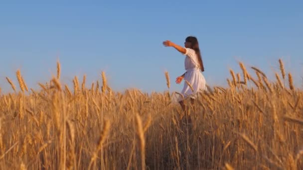 Mutlu kız olgun buğday, ağır çekim alanına dans — Stok video