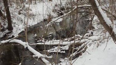 Kış creek kar ormandaki.