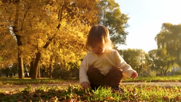Petit bébé accroupi dans le parc d'automne et jouant avec les feuilles d'automne — Video