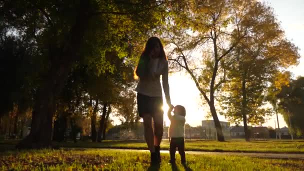Businesswoman in business suit with little baby talking on smartphone and walking in autumn park in sunset light. Modern busy mother walks in evening with child after work — Stock Video