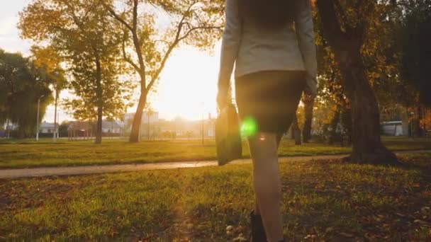 Zakenvrouw in rok wandelingen in het park in de stralen van de prachtige zonsondergang met zwarte werkmap voor documenten. — Stockvideo