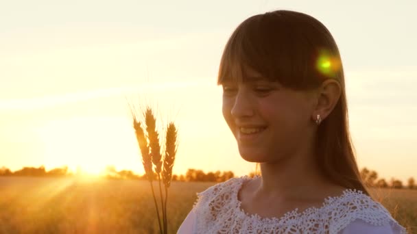Una joven sostiene espigas de trigo maduras en sus manos y sonríe . — Vídeos de Stock