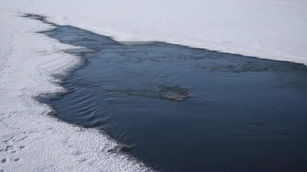 Im Winter friert der Fluss zu. Abtasten auf Eis — Stockvideo